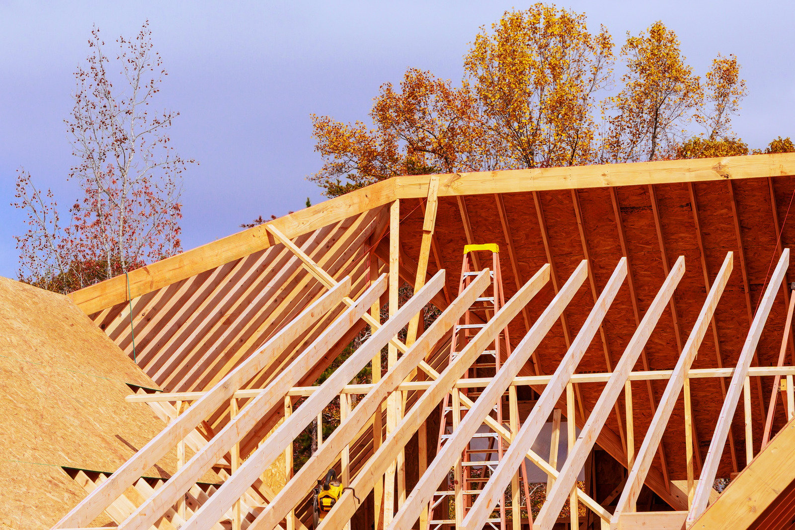 uri ifs M 29a1e183 dbe5 4393 8591 64df2bc72d4e