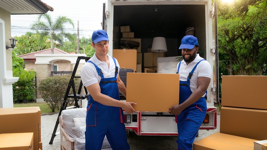 Why Every Business Needs a Professional Service Listing on 100 Local Near 1 professional service listing for business growth