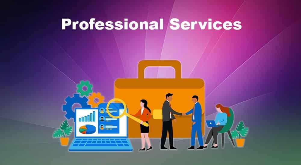 professional service