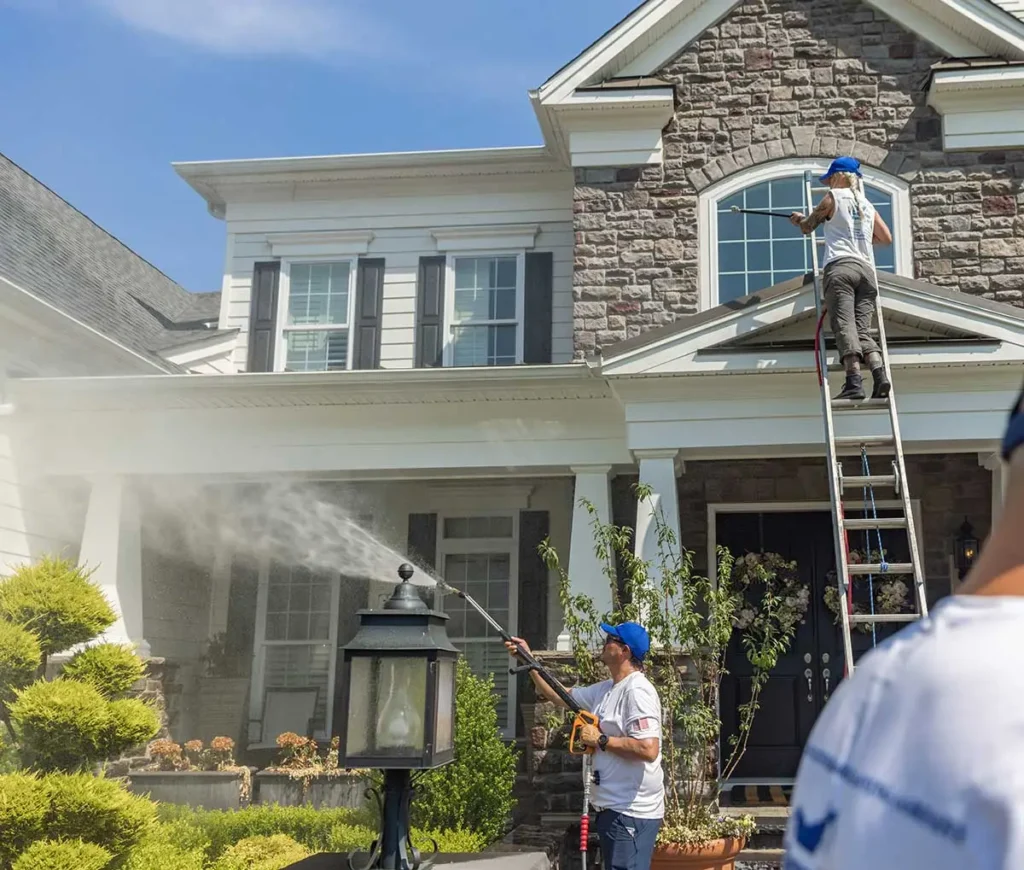 Professional house washing services