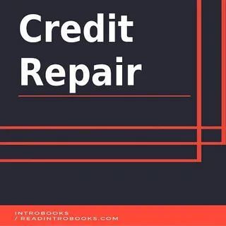 A credit repair business is one good choice